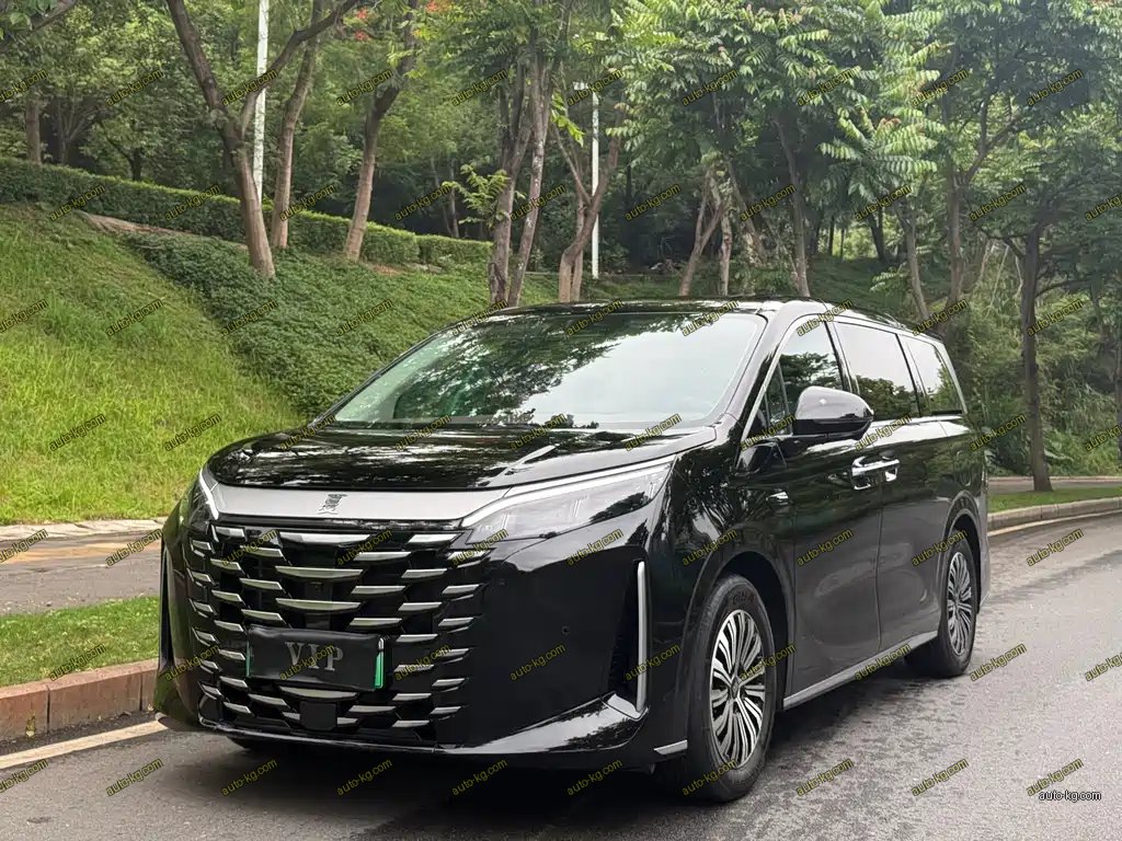 BYD Xia 2025