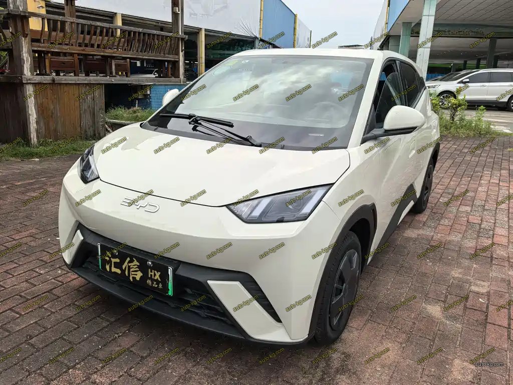 BYD Seagull 2024