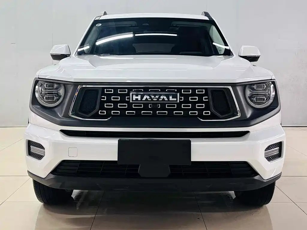 Haval HavalDargo PLUS 2023