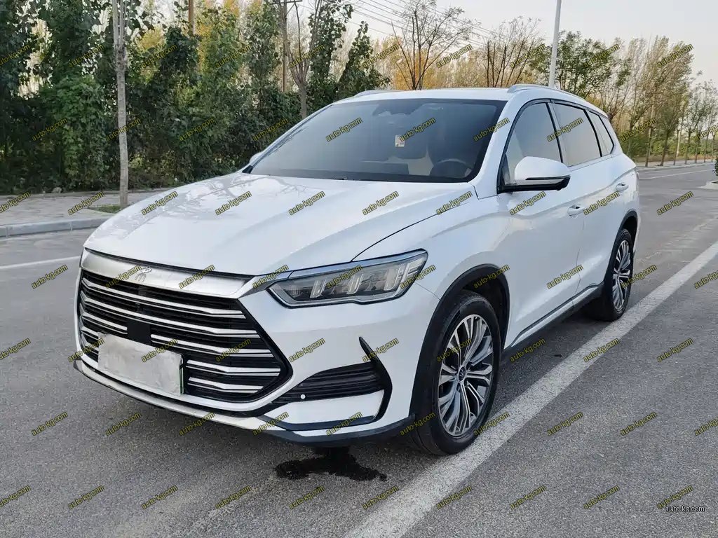 BYD Pro New Energy 2023