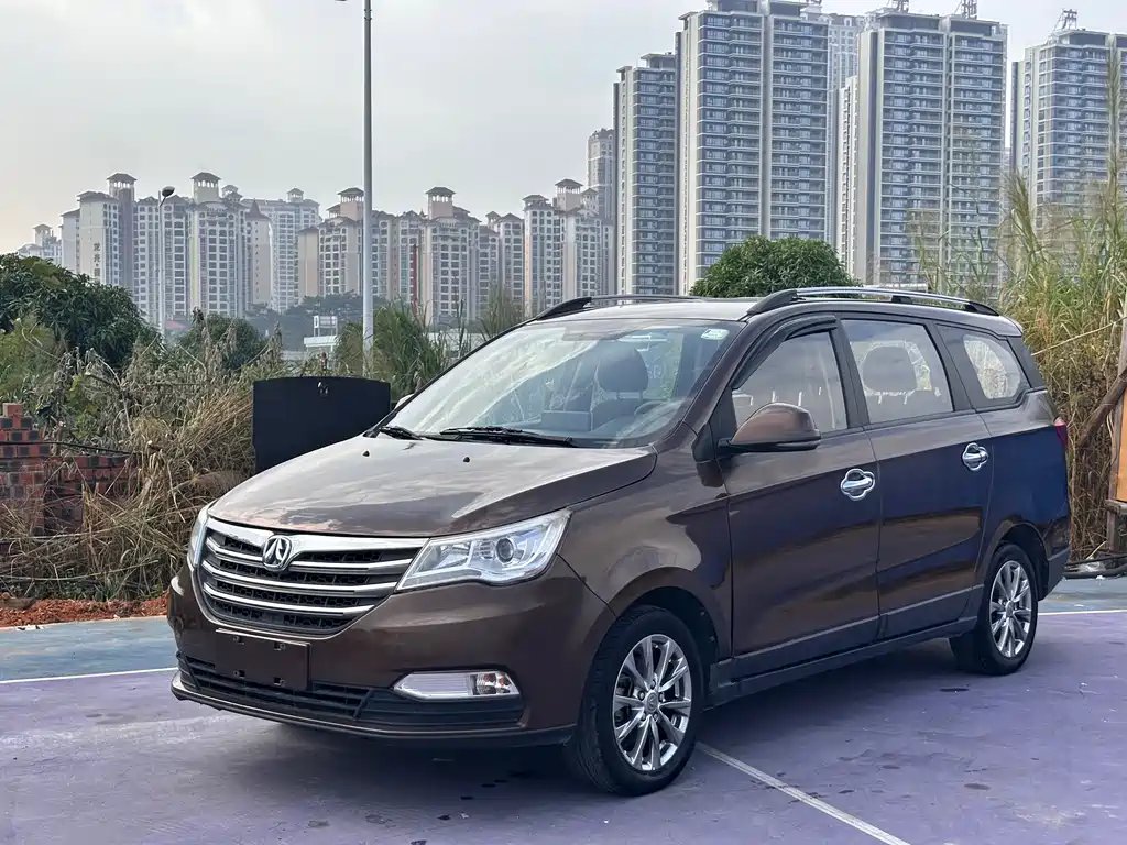 BAW Weiwang M50F 2017
