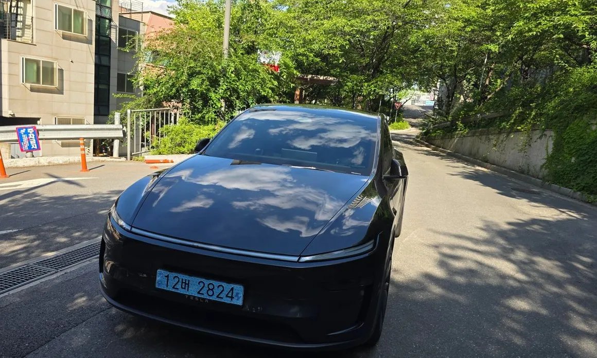 Tesla Model Y 2025 — фото 1 из 5