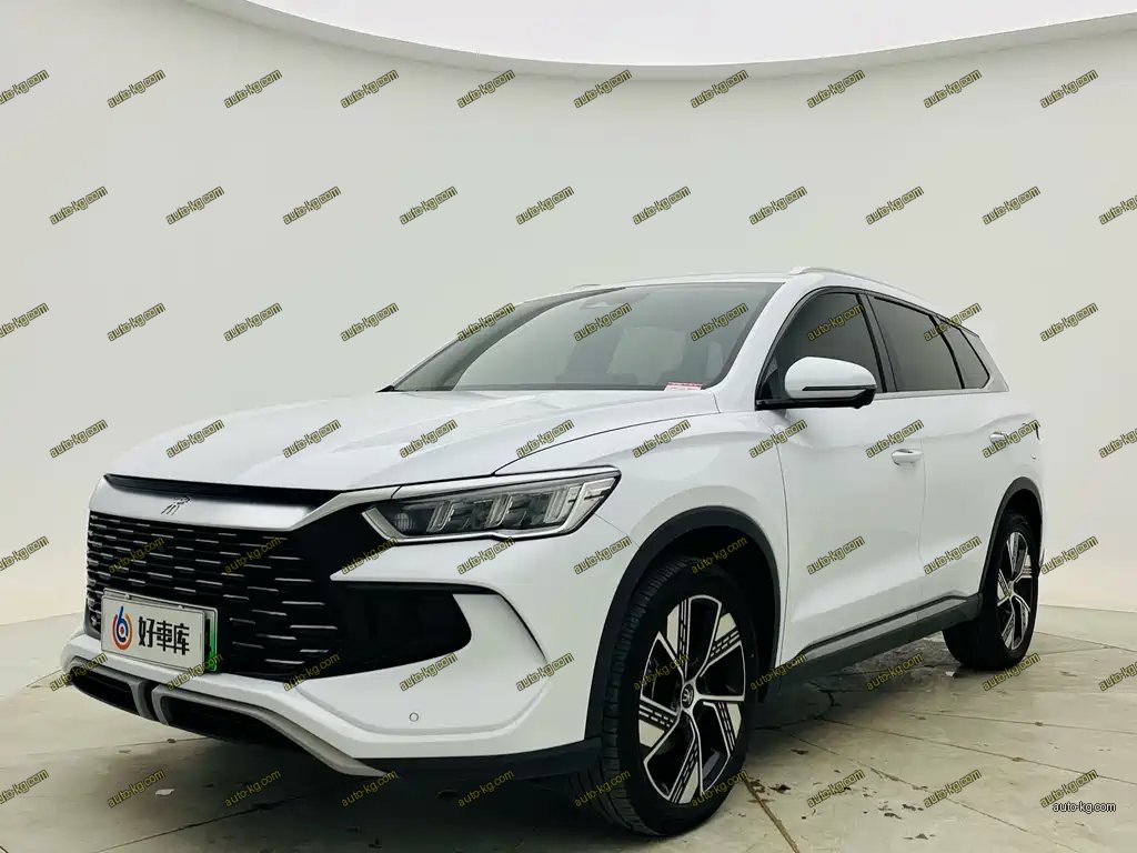 BYD Pro New Energy 2024