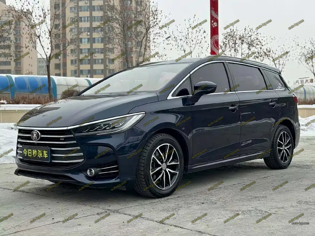 BYD MAX 2020