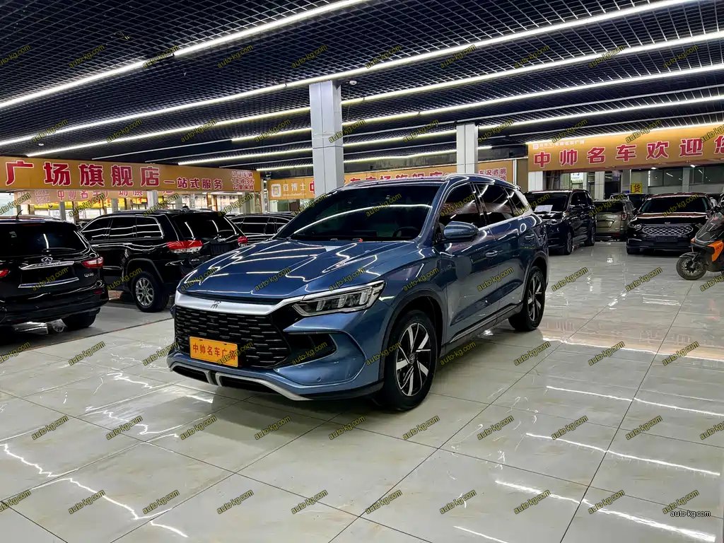 BYD Pro New Energy 2024