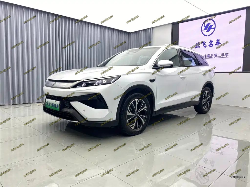 BYD Pro New Energy 2025