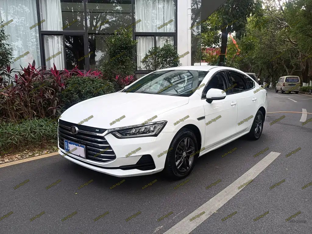 BYD Qin Pro 2019
