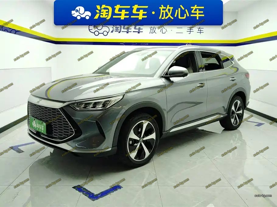 BYD PLUS New Energy 2022