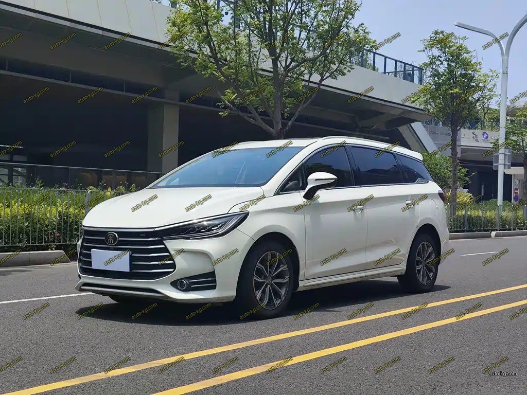 BYD MAX 2019