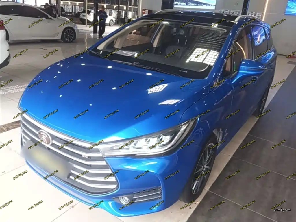 BYD MAX 2018