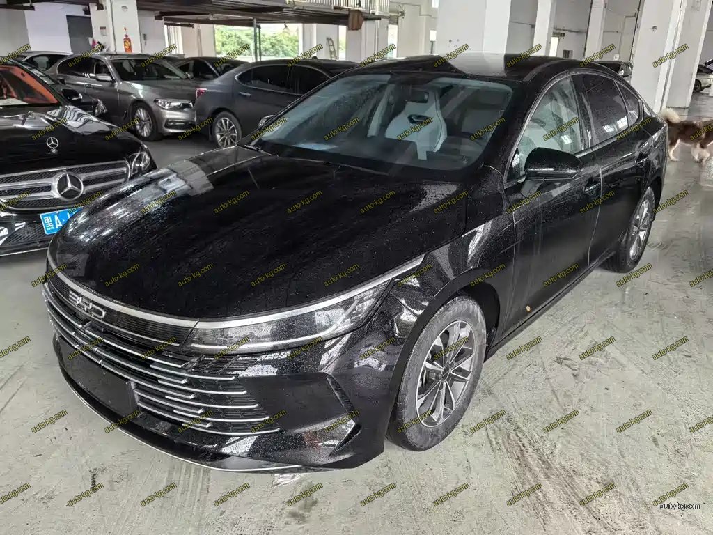 BYD Destroyer 05 2023