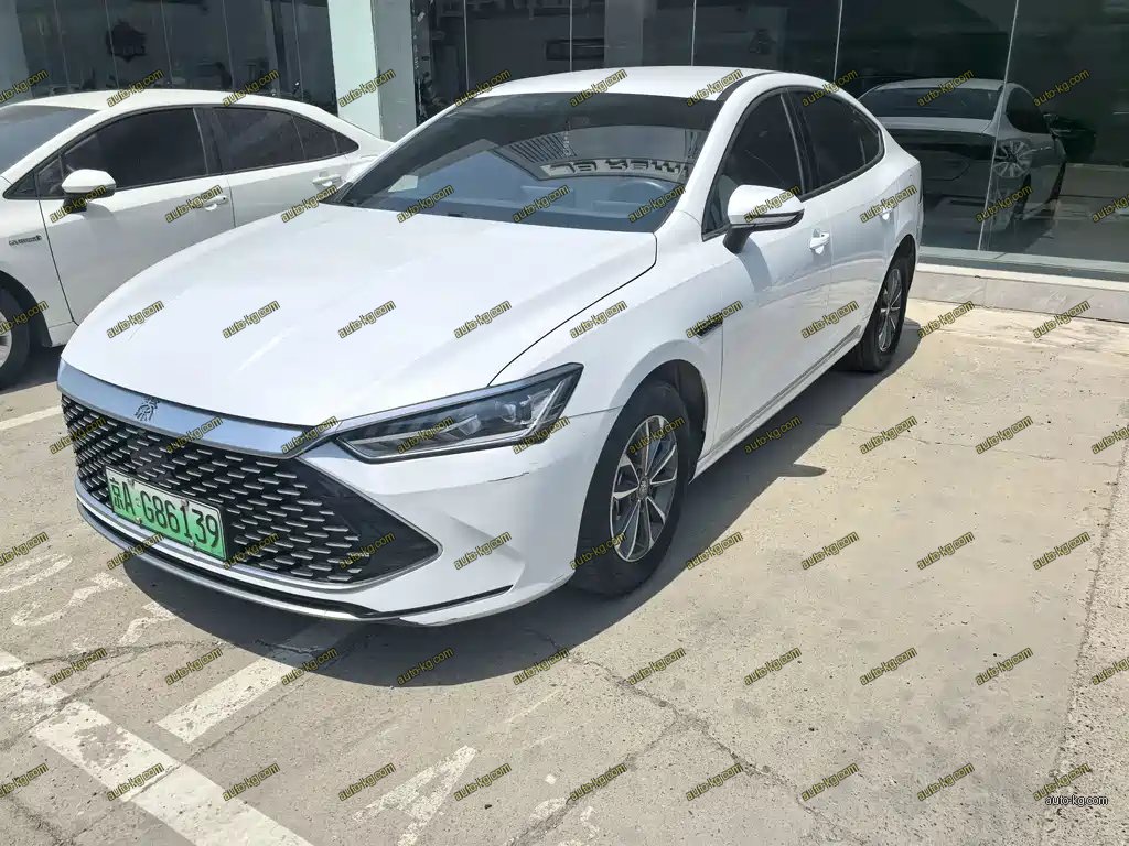 BYD Qin PLUS 2024