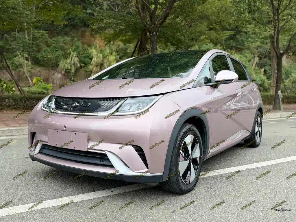 BYD Dolphin 2023