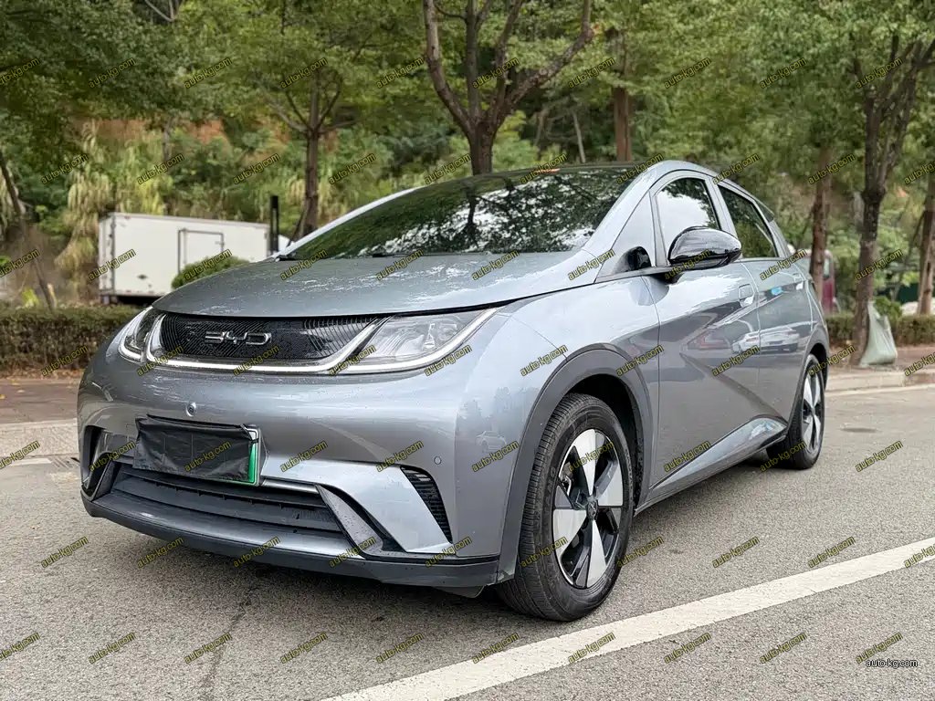 BYD Dolphin 2023