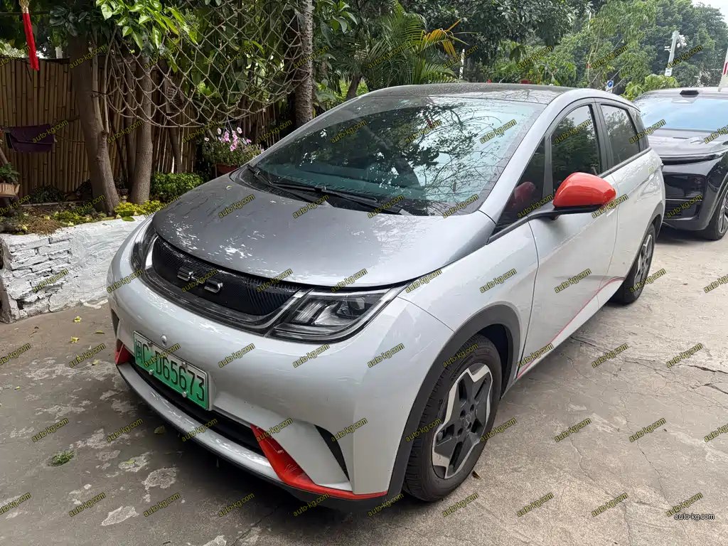 BYD Dolphin 2021