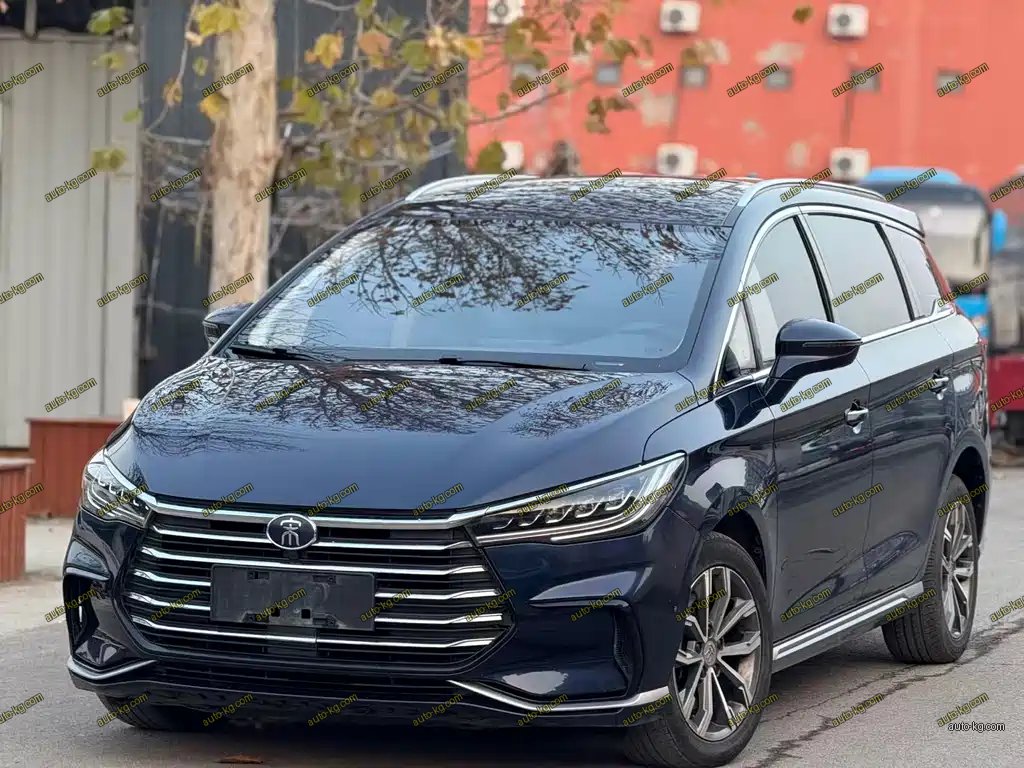 BYD MAX 2021