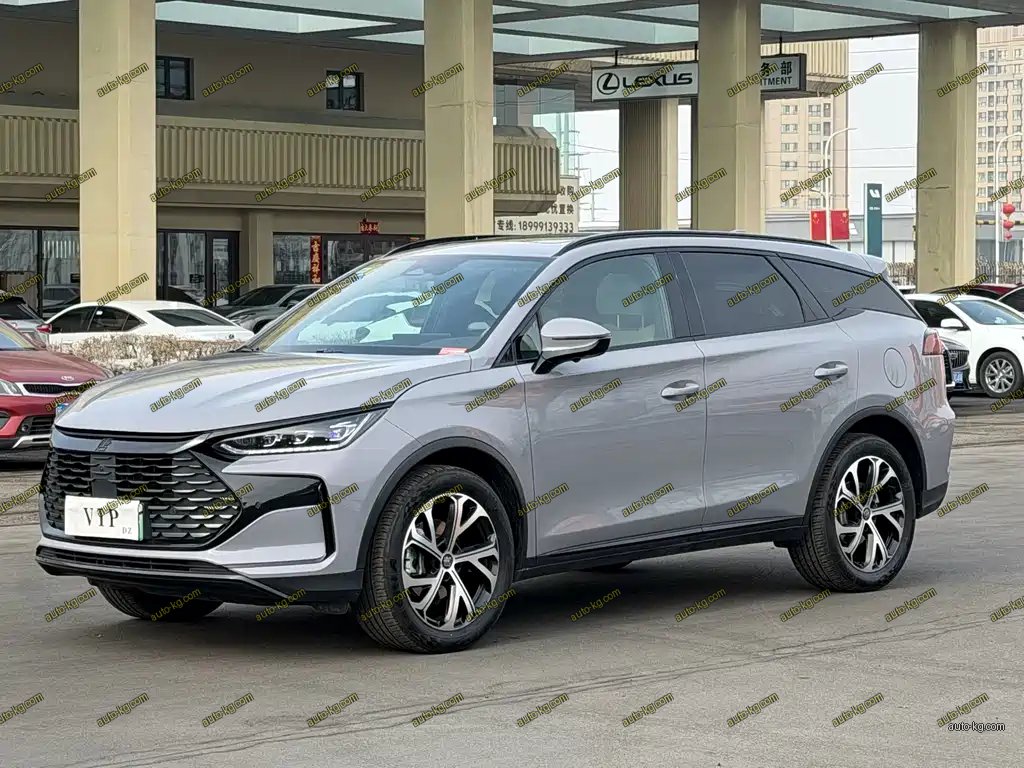BYD Tang New Energy 2024