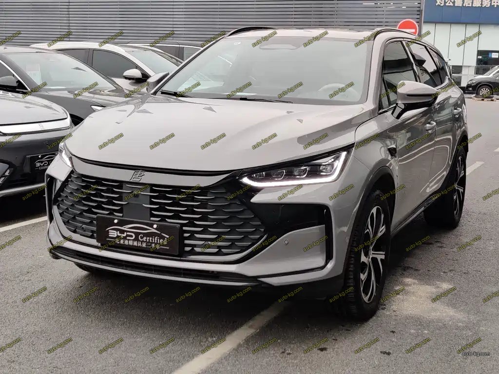 BYD Tang New Energy 2025
