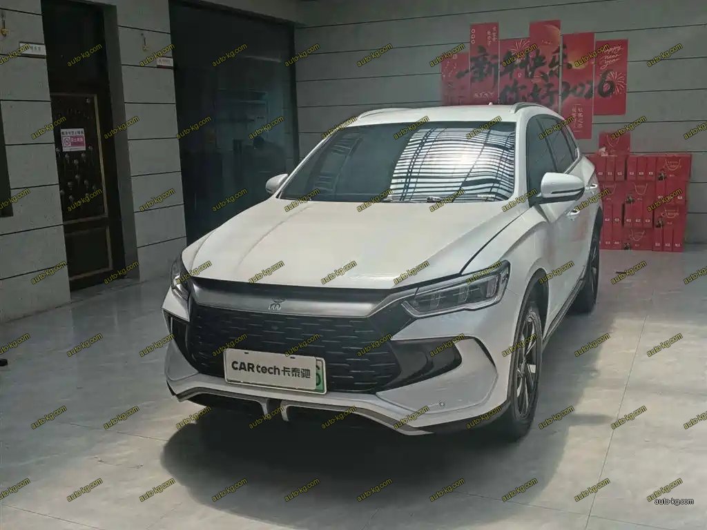 BYD Pro New Energy 2024