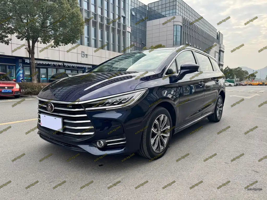 BYD MAX 2020