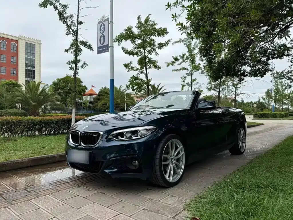 BMW 2 Series (Import) 2016 — фото 1 из 5