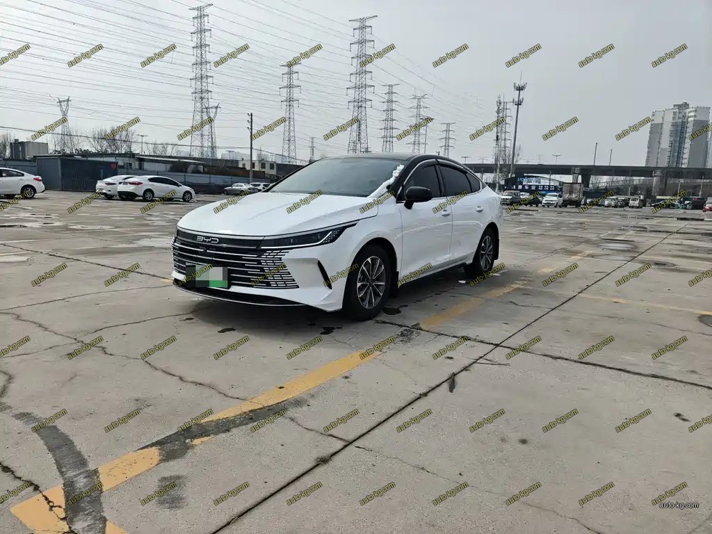 BYD Destroyer 05 2024