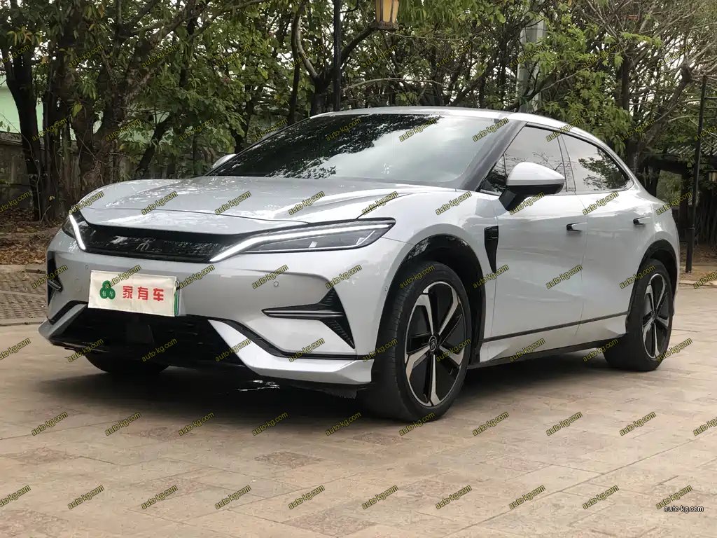 BYD L EV 2024