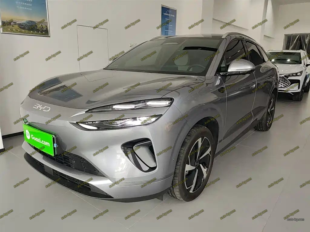BYD 海狮06 2025