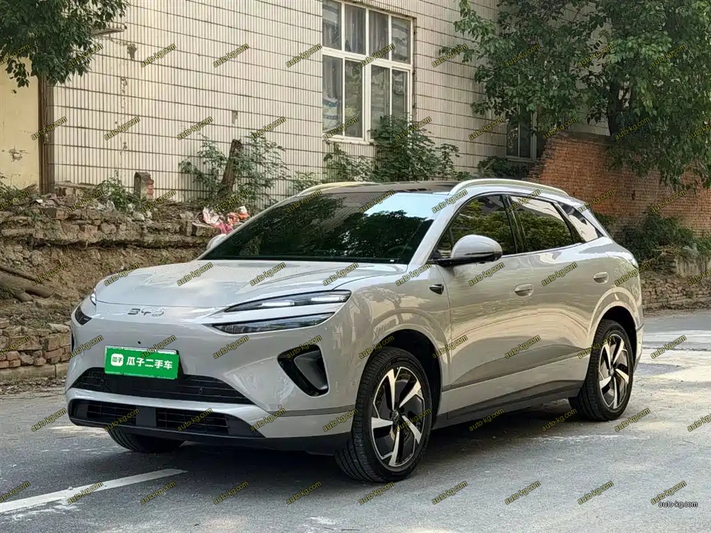 BYD 海狮06 2026