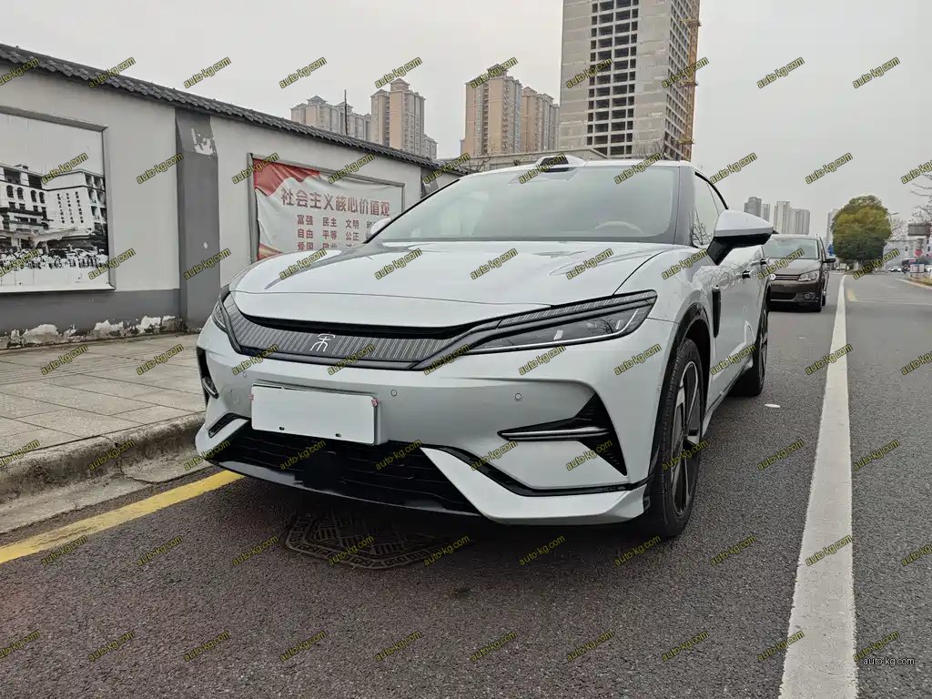 BYD L EV 2025
