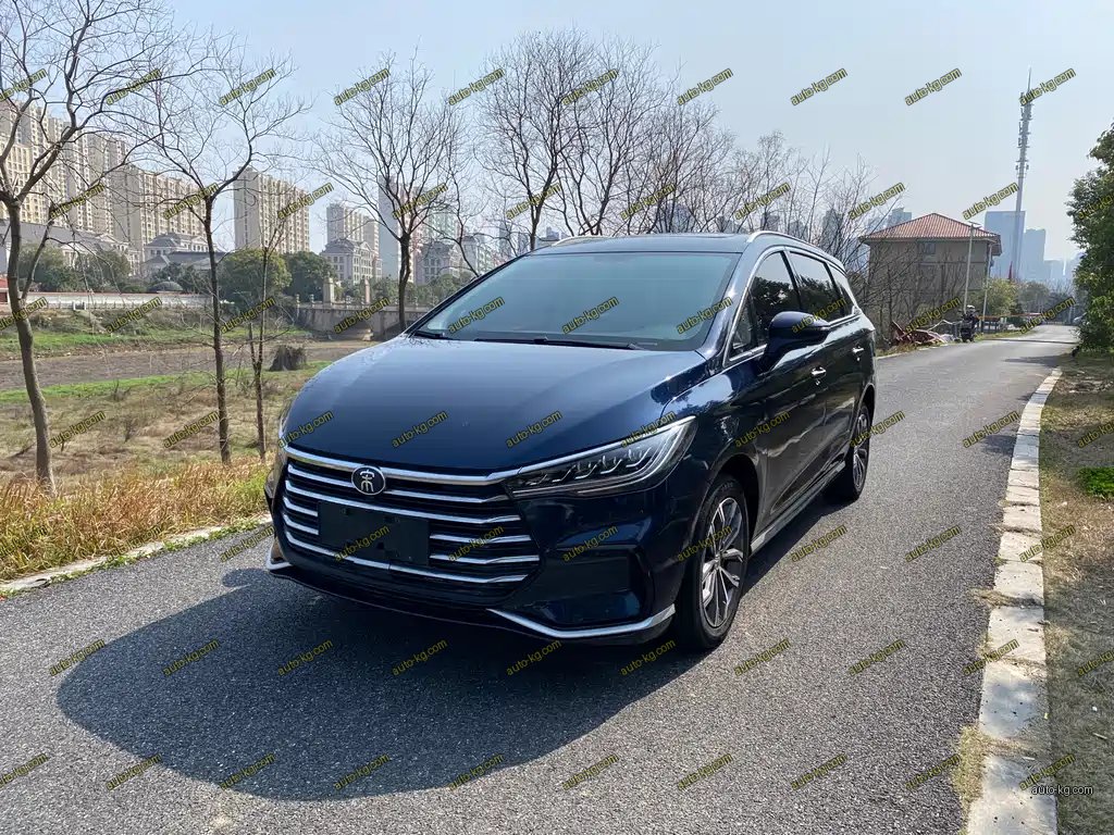 BYD MAX 2021