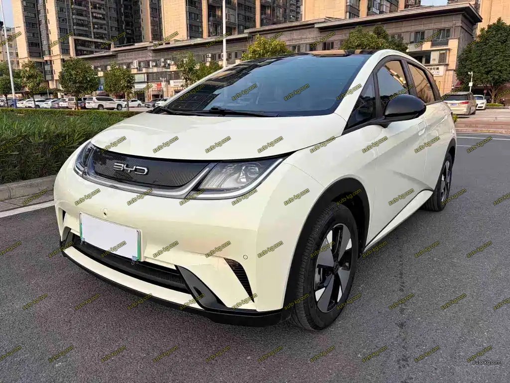 BYD Dolphin 2024