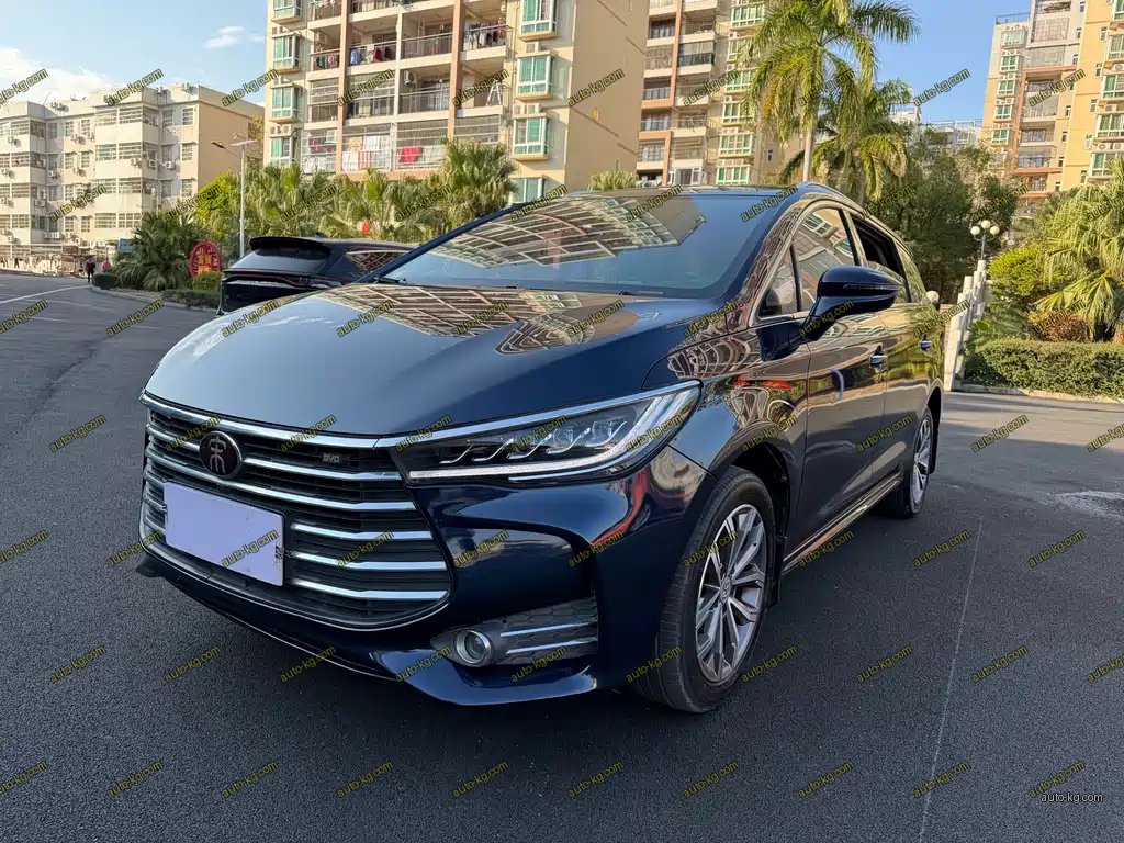 BYD MAX 2019