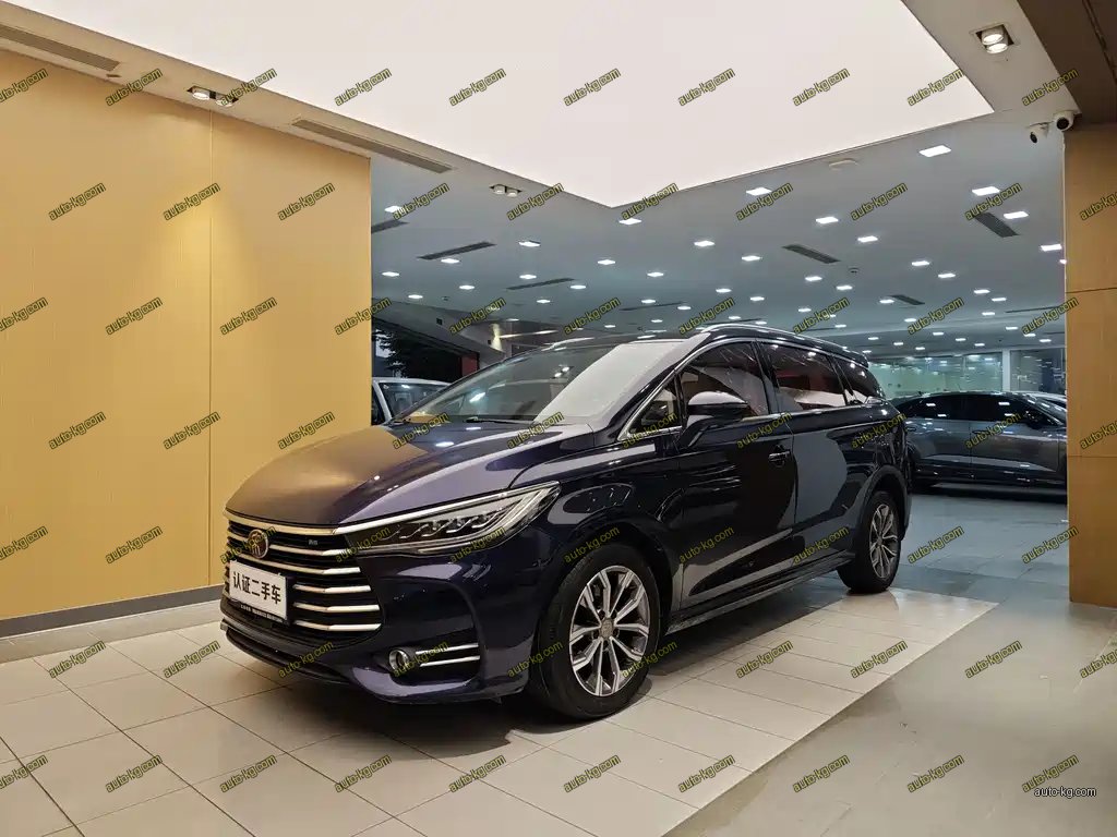BYD MAX 2019