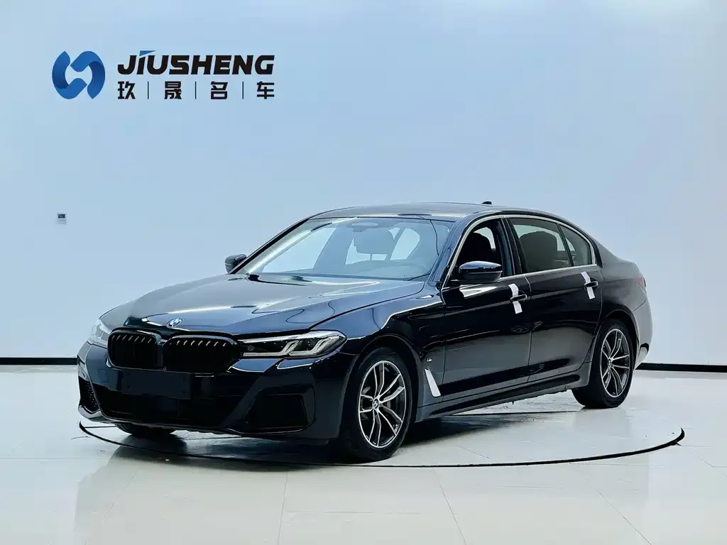 BMW 5 Series New Energy 2021 — фото 1 из 5