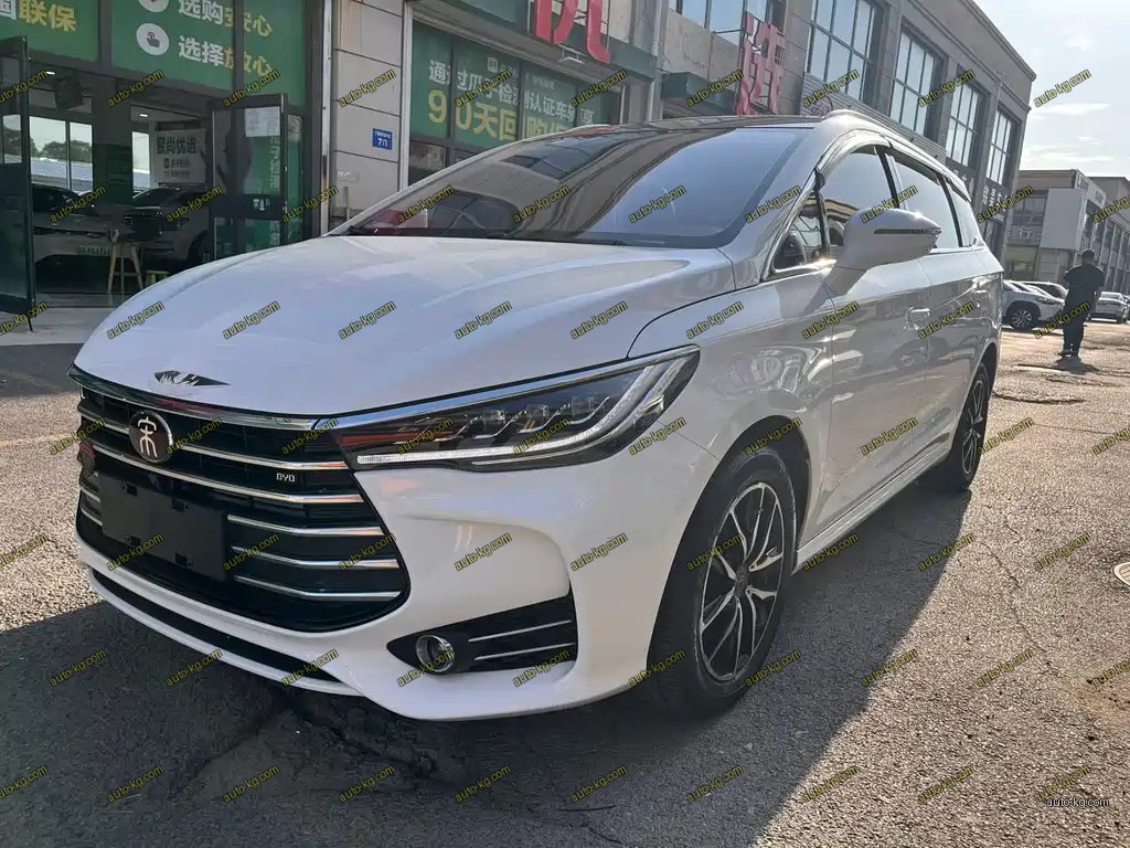 BYD MAX 2019