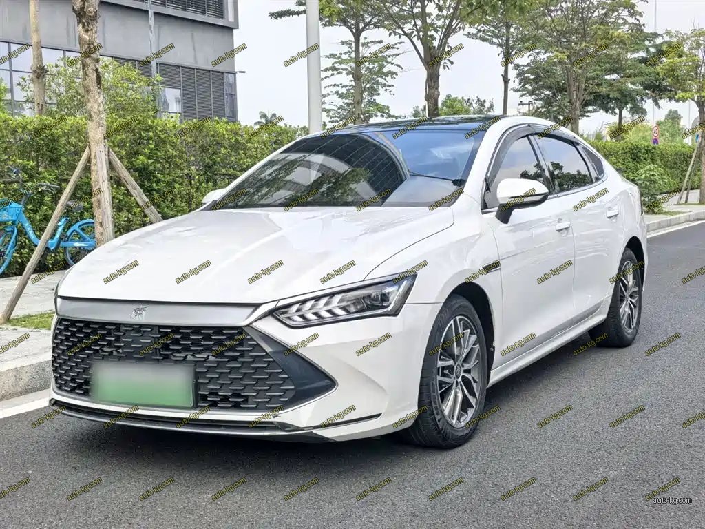 BYD Qin PLUS 2022