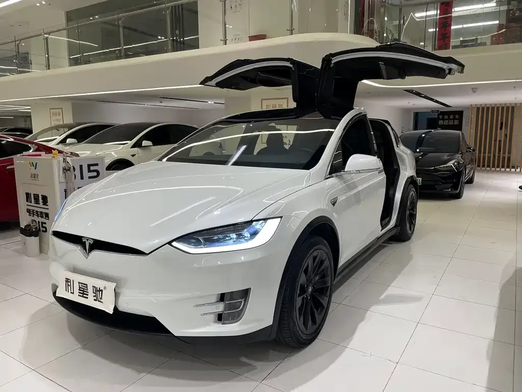Tesla Model X 2017 — фото 1 из 5