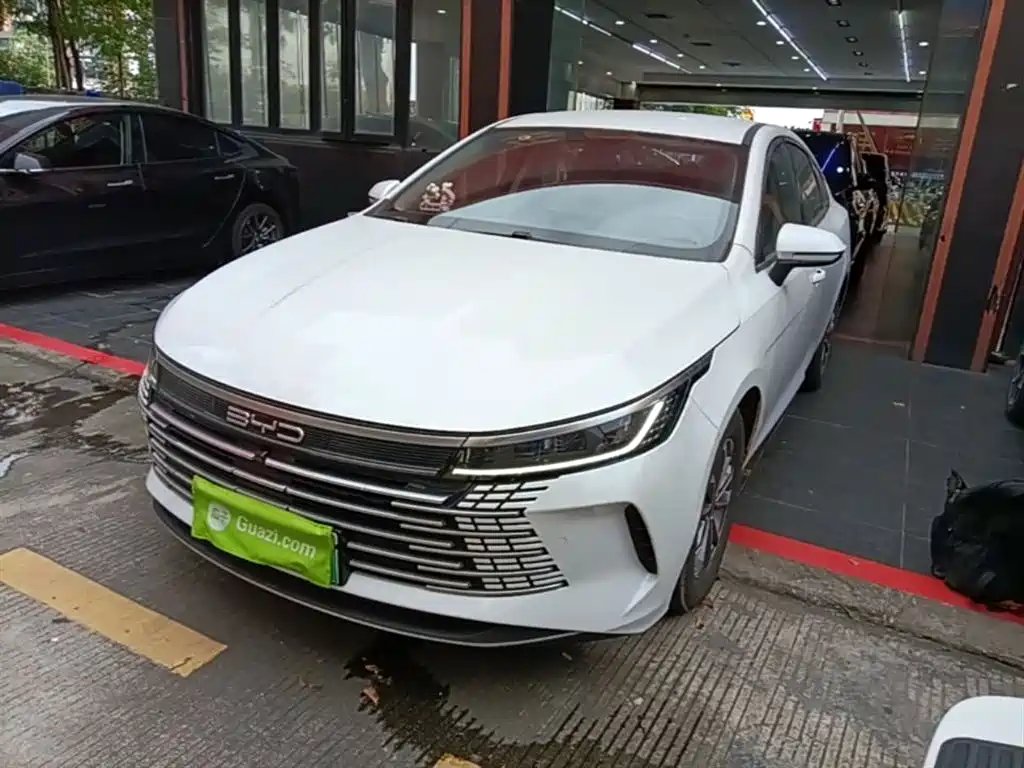 BYD Destroyer 05 2024