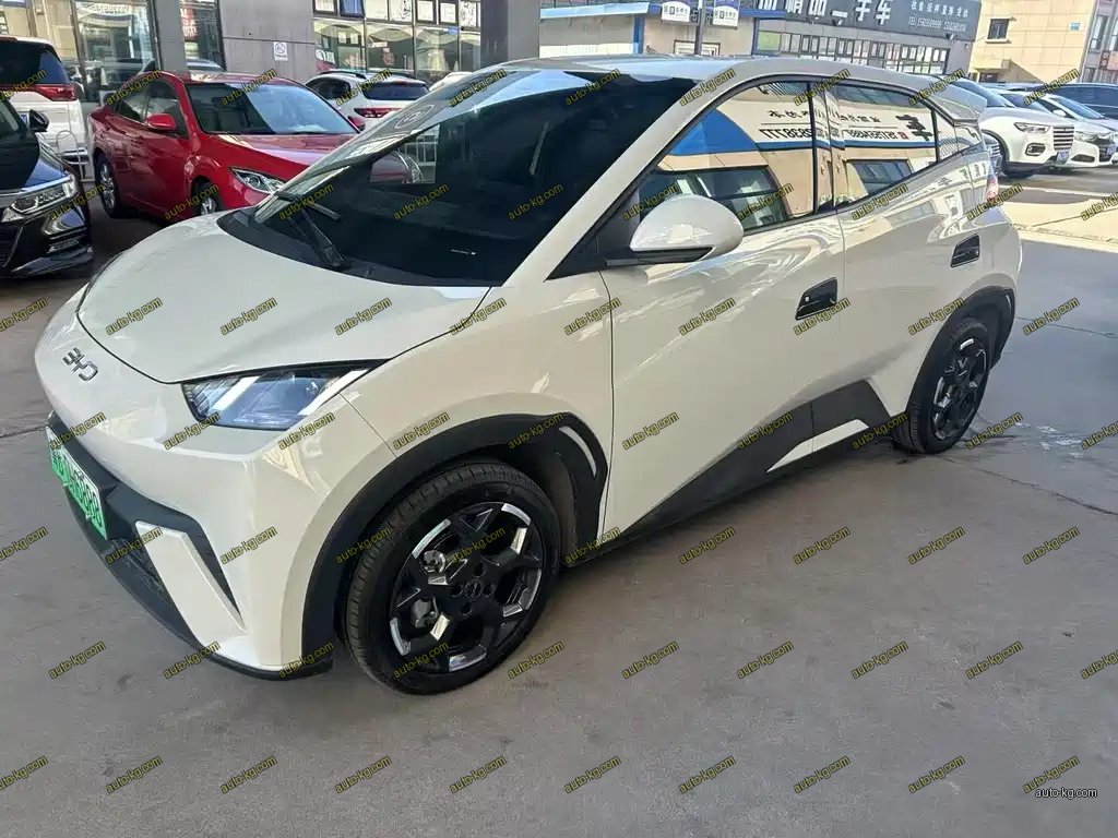 BYD Seagull 2024