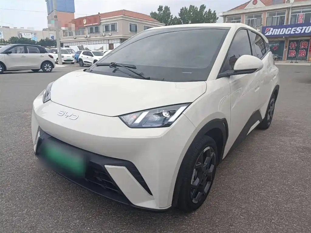 BYD Seagull 2024