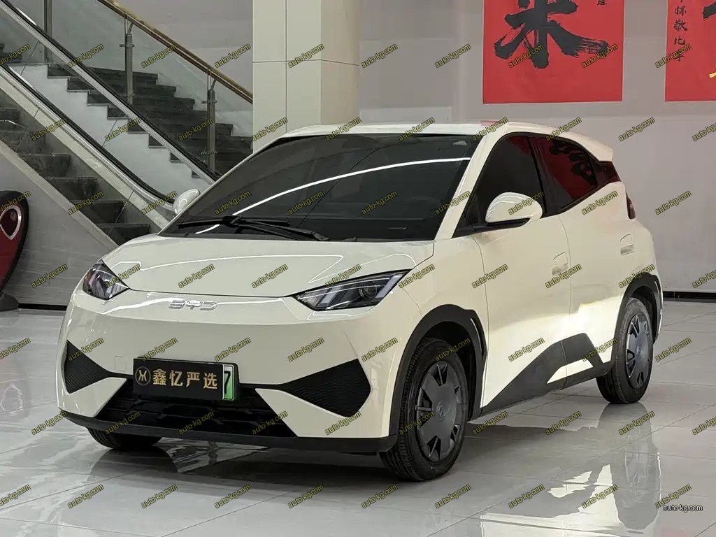 BYD Seagull 2025