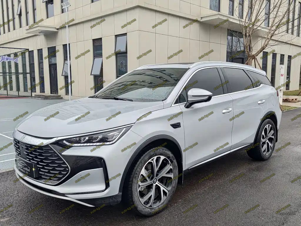 BYD Tang New Energy 2025