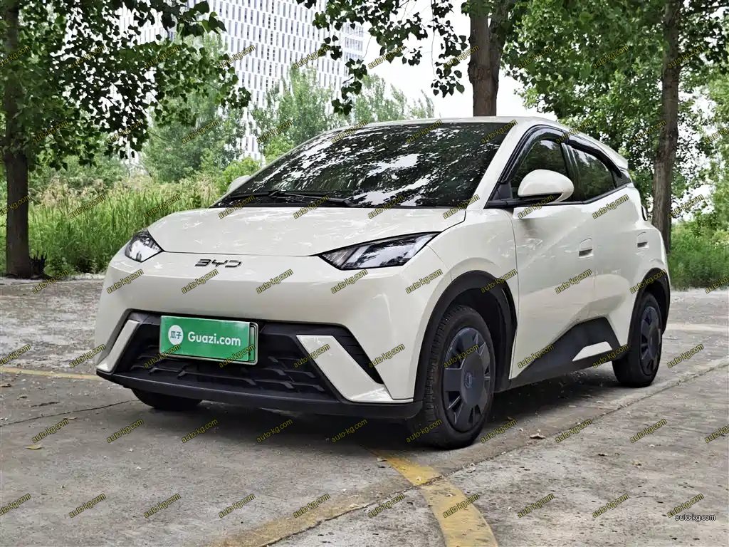 BYD Seagull 2025
