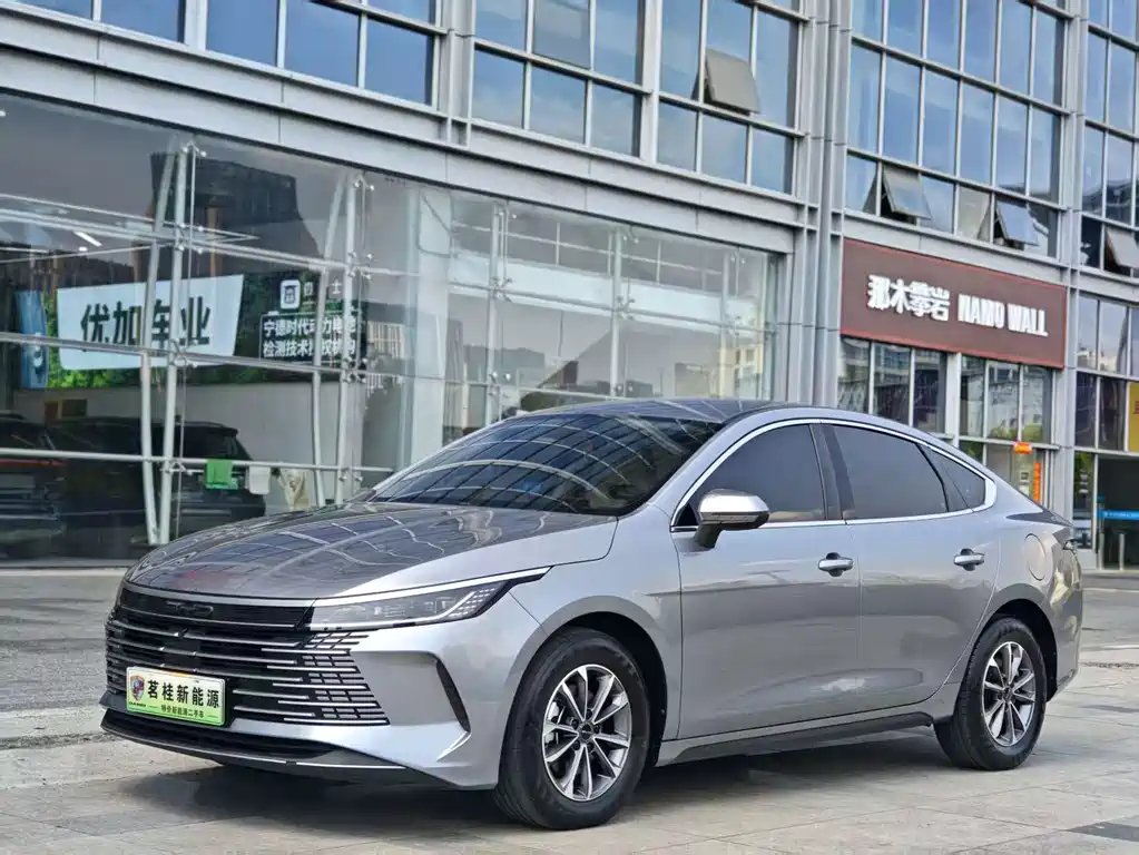 BYD Destroyer 05 2024