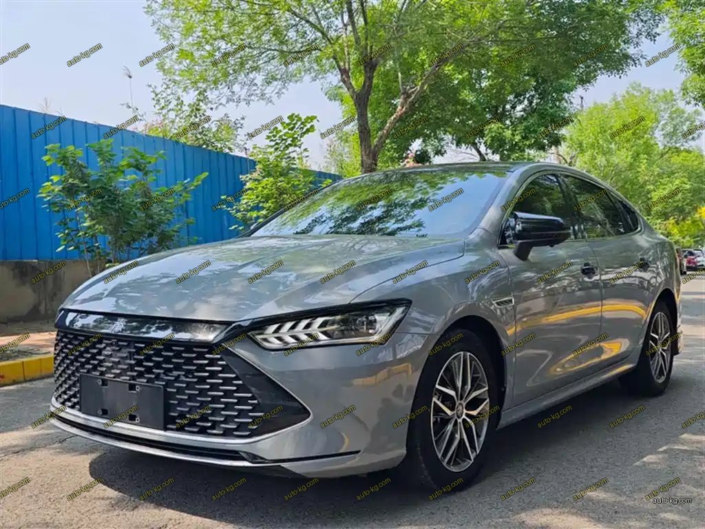 BYD Qin PLUS 2022