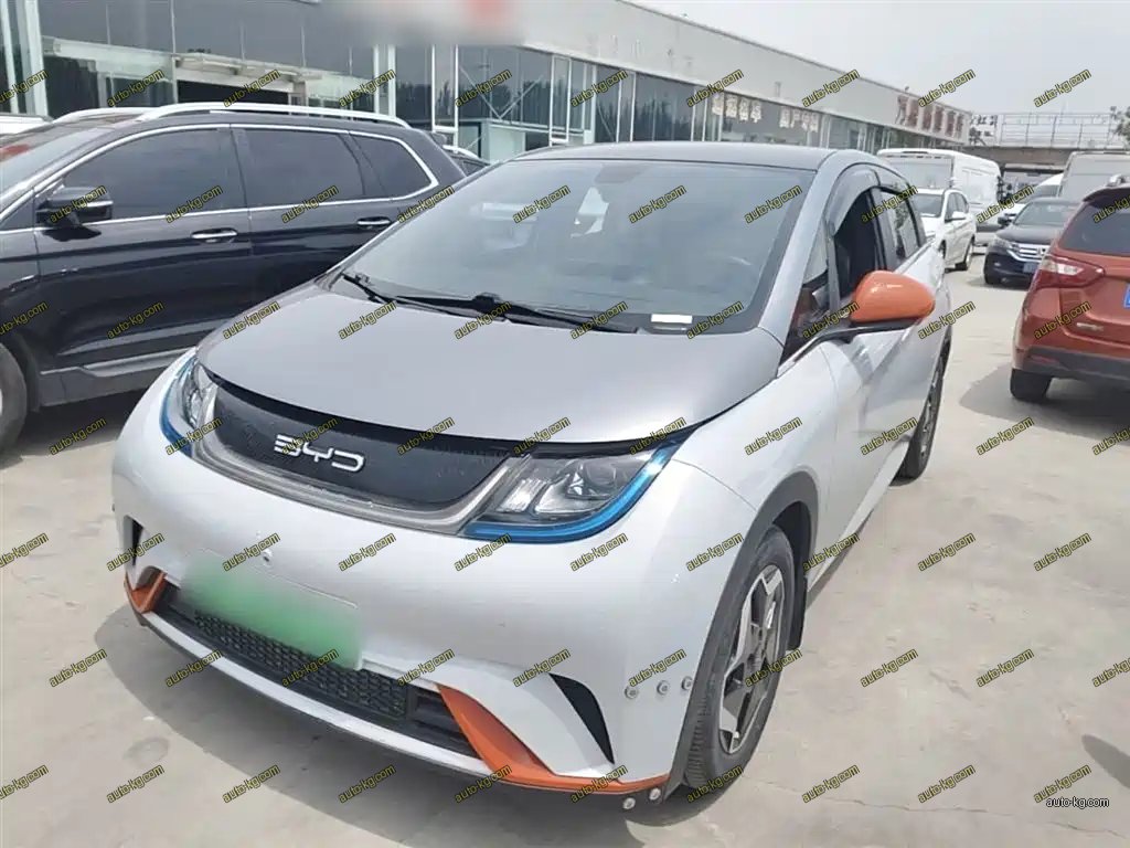 BYD Dolphin 2022