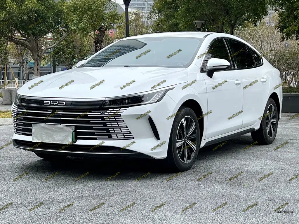 BYD Destroyer 05 2023