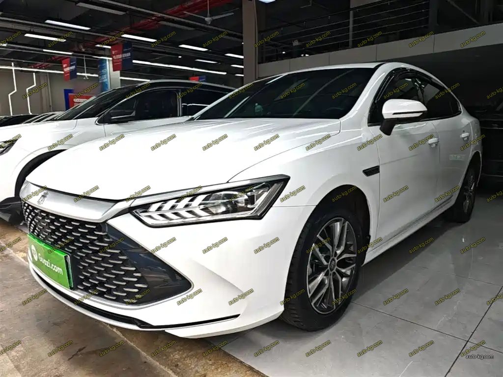 BYD Qin PLUS 2024