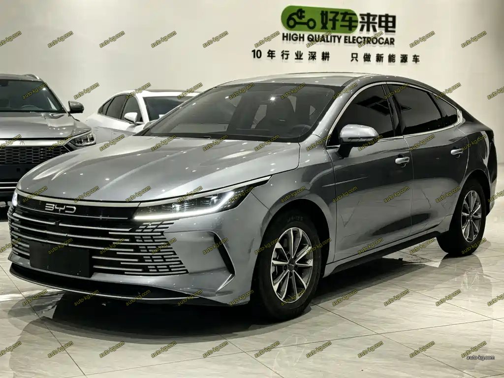 BYD Destroyer 05 2024